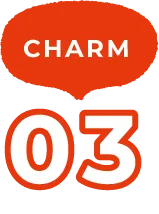 charm03