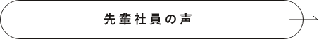 先輩社員の声　詳しくはこちらから　リンクボタン